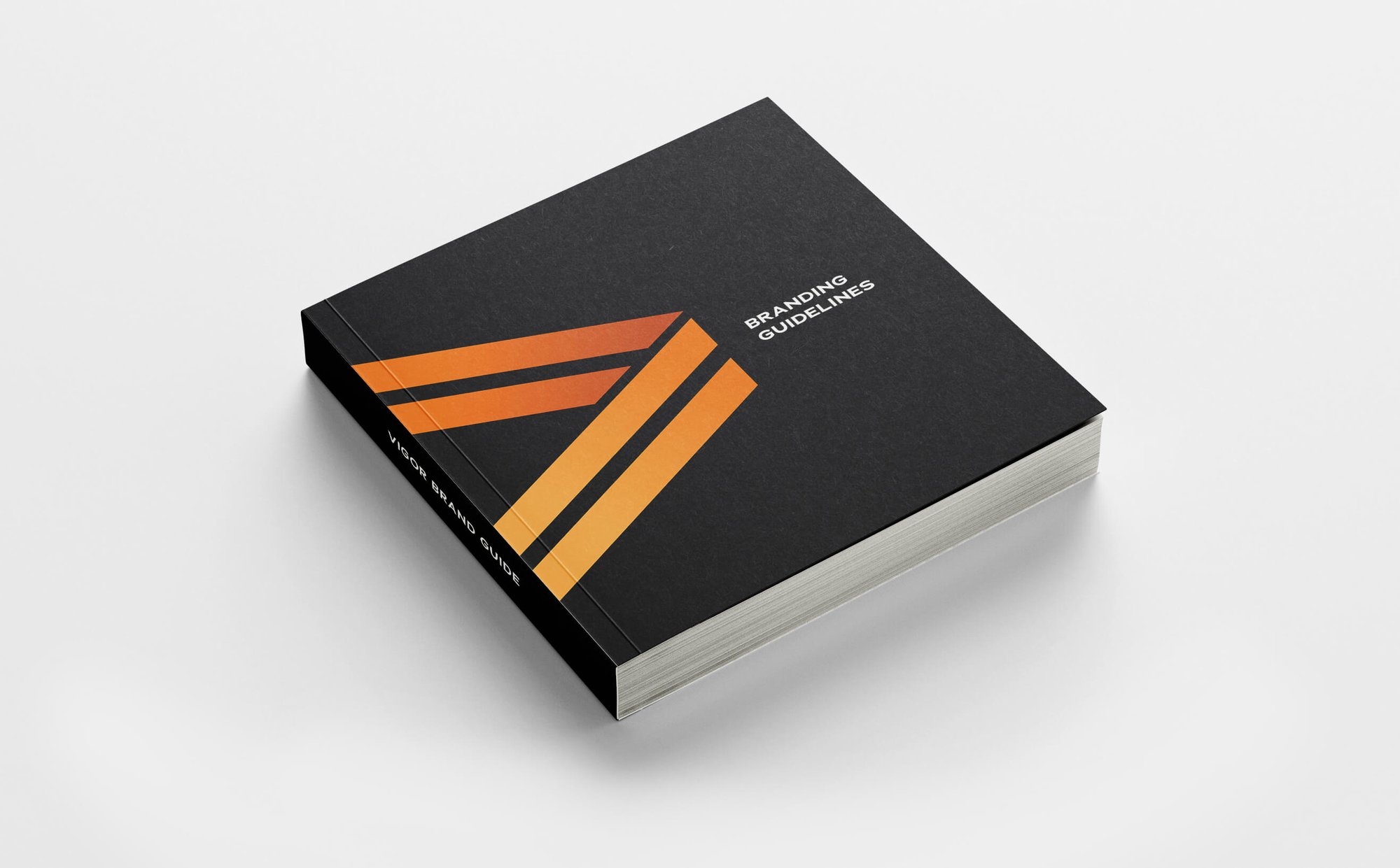 Vigor_BrandGuide_Cover