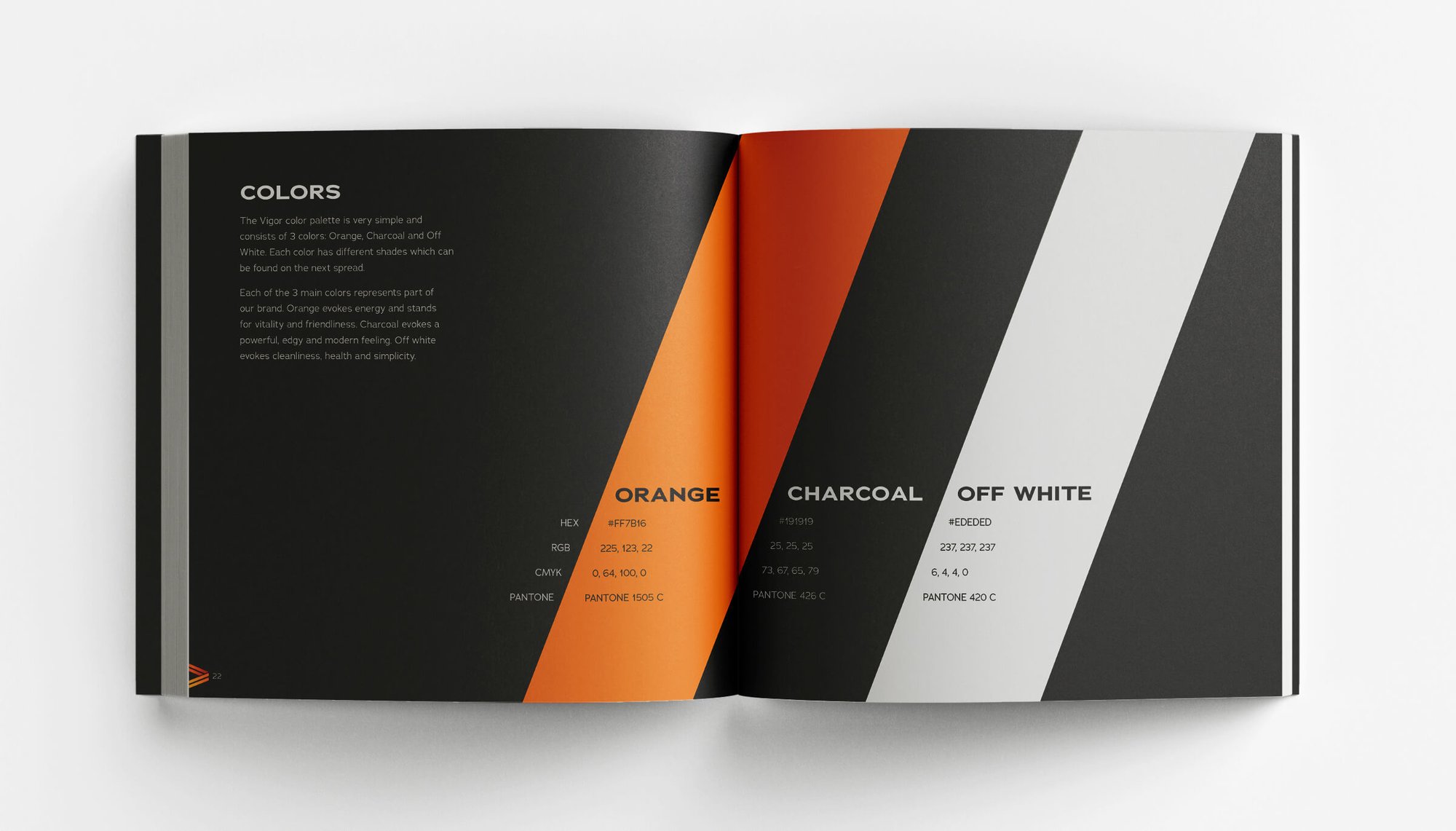 Vigor_BrandGuide_Int